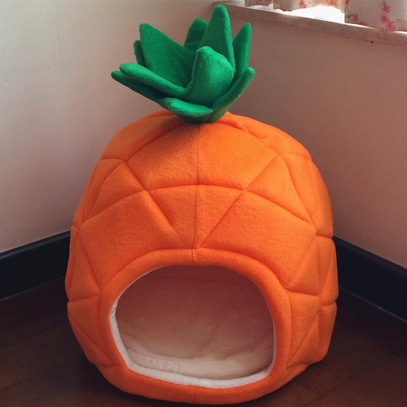 Pineapple Frenchie House
