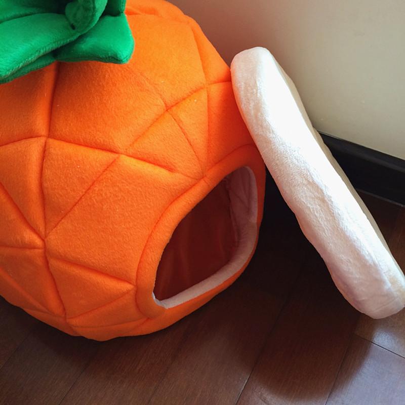 Pineapple Frenchie House
