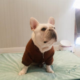 Brown Fluffy French Bulldog Coat Frenchie